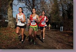 Begles 15.12.13 01 738 * 679 x 453 * (166KB)